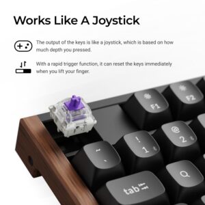 Keychron K10 HE 100% Wireless Magnetic Gaming Keyboard Nebula Switches – Black image 4