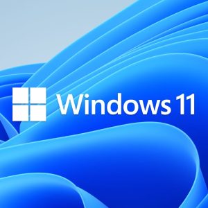 Microsoft Windows 11 Home DVD Single User License KW9-00632 image 2